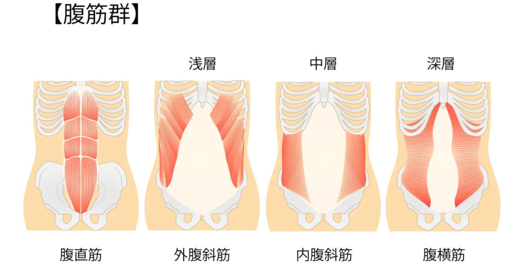 腹筋はどれくらいの頻度でやれば効果が出るのか？